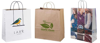 twisted handle kraft shopping bags with custom printing