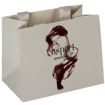 luxury paper bags with printed logo and ribbon handle